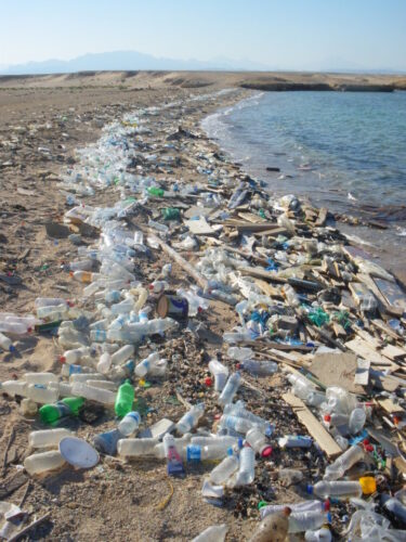 Combien de temps est nécessaire pour qu’une bouteille d’eau en plastique soit détruite dans l’environnement ? 