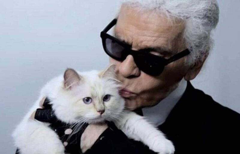 Quel est le nom du chat de Karl Lagerfeld ?