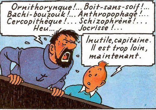 Que signifie Bachi-bouzouk l'un des jurons préférés du capitaine Haddock ? 