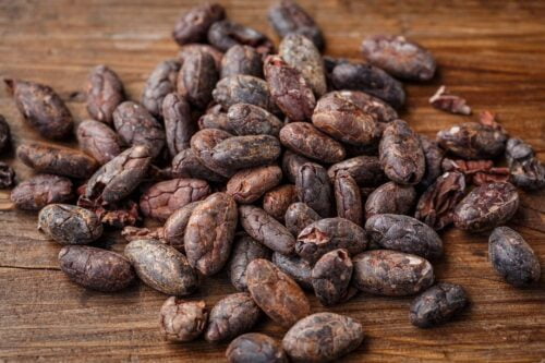 Pourquoi Christophe Colomb aurait-il jeté à la mer les fèves de cacao offertes par les amérindiens ? Feves de cacao