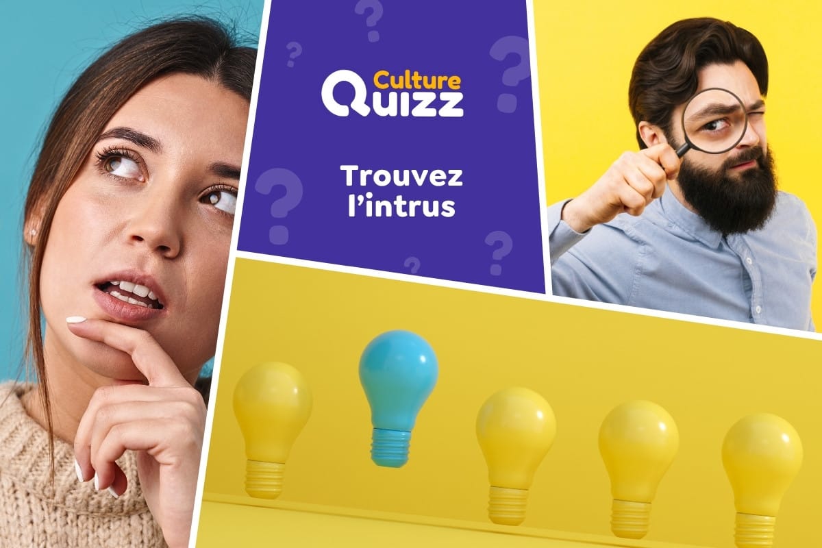 Quiz : Saurez-vous retrouver l'intrus ? #1 - Quiz spécial trouvez l'intrus parmi les 4 propositions.