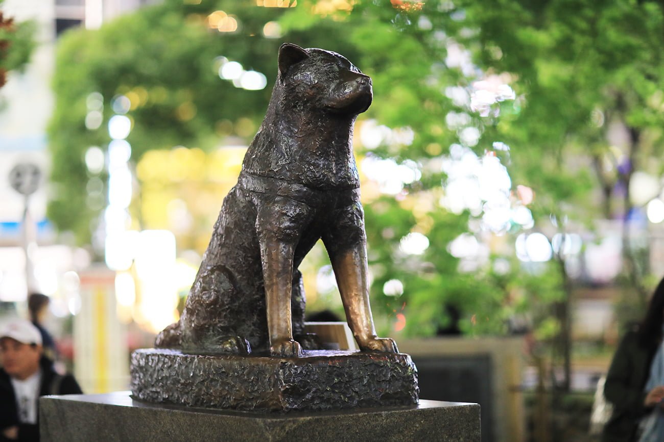 Quel est le nom de ce chien qui a sa propre statue au Japon ? 