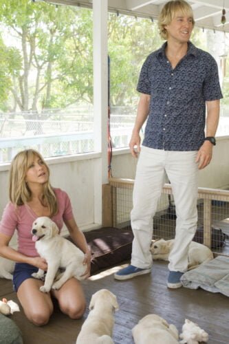 Quel est ce chien avec Jennifer Aniston et Owen Wilson ? 