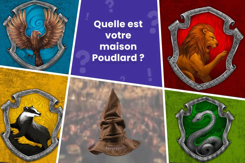 Top 91+ imagen quel maison harry potter je suis - fr.thptnganamst.edu.vn