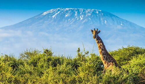 Dans quel pays africain, le Kilimandjaro se trouve-t-il ? 