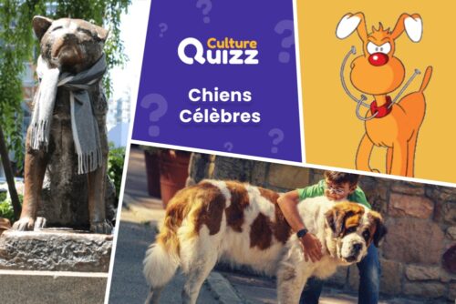 Quiz dédié aux chiens très célèbres - Saurez-vous les identifier ?