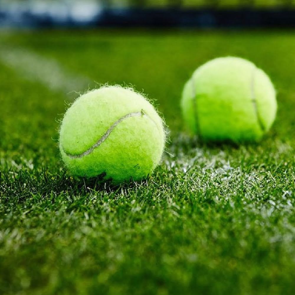 Quel joueur de tennis a remporté 3 tournois du Grand Chelem en 2023 ? 