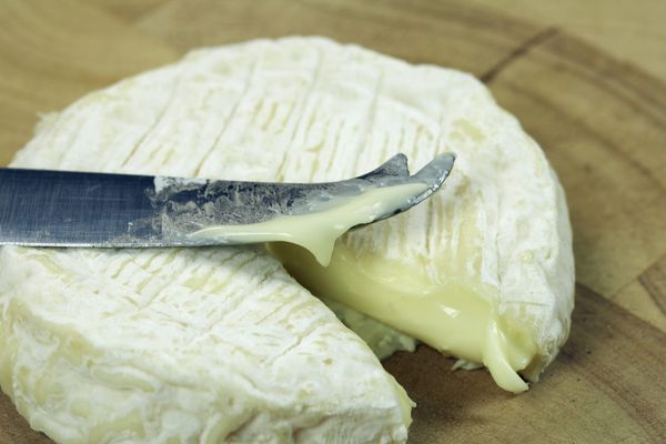 Quel est le nom de ce fromage ? 