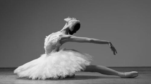 Comment appelle-t-on la jupe faite de plusieurs rangées superposées de tulle, portée par les danseuses de ballet ? 
