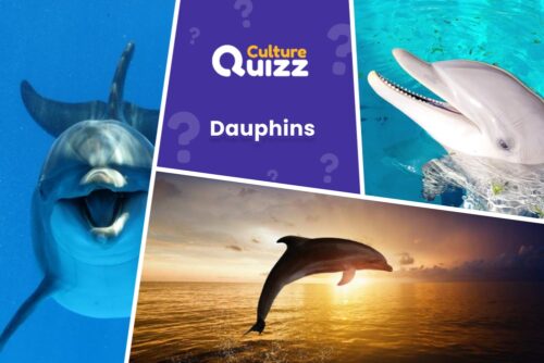 Quiz spécial sur les dauphins : Répondez aux questions de ce quiz animalier