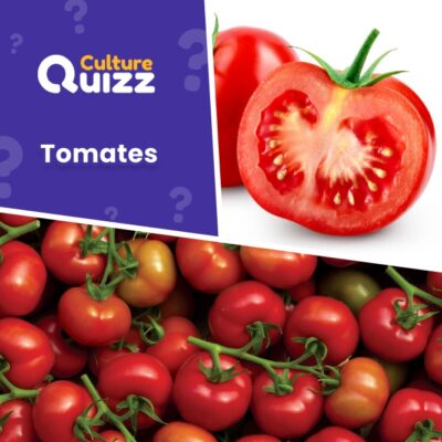 Quiz sur les tomates. Que savez-vous sur les tomates ?