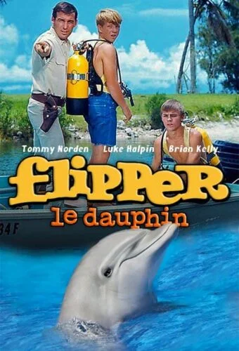 En quelle année fut diffusée le premier épisode de la célèbre série américaine Flipper, le dauphin ? 