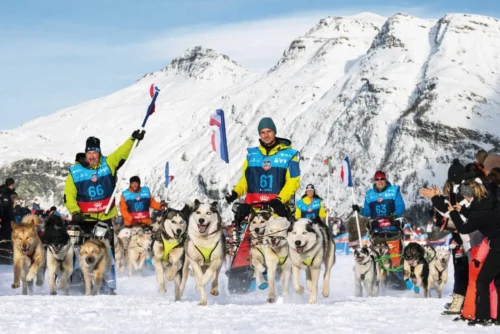 Quelle est la course internationale de chiens de traîneau qui traverse les Alpes françaises sur environ 400 km ? 