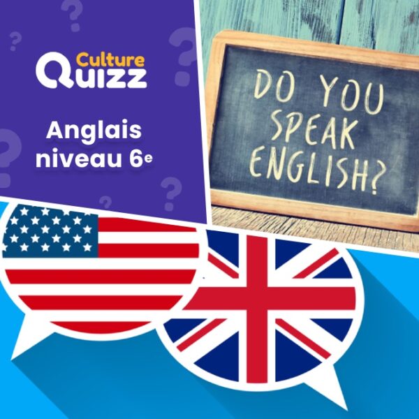 Questionnaire anglais niveau facile - première année
