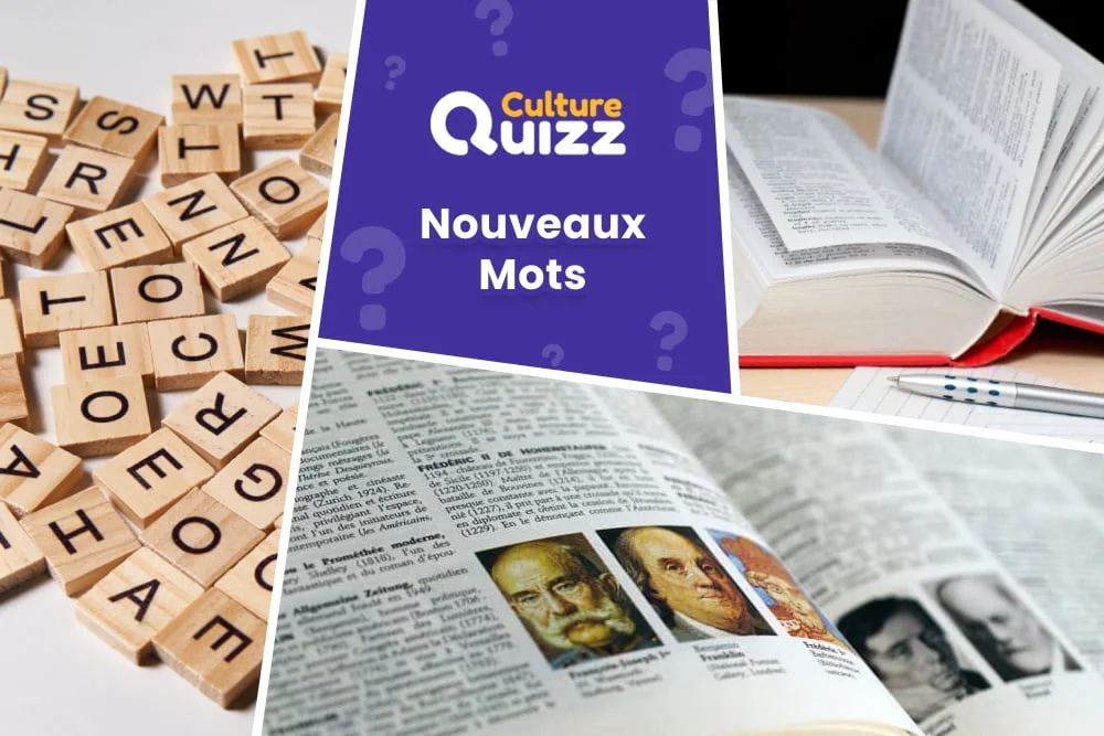 Quiz Nouveaux Mots du Dictionnaire #2 - Quiz spécial nouveaux mots ajoutés au dico