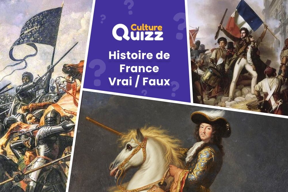 Quiz Histoire de France - Vrai ou Faux - Quiz sur l'histoire de France - Vrai Faux