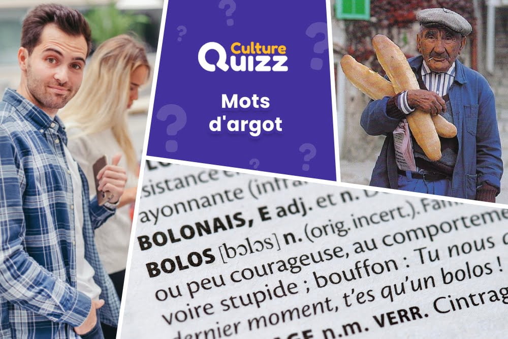 Quiz Mots d'Argot - Quiz de langue française pour trouver la définition de mots d'argot