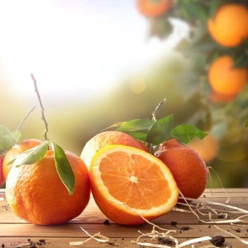 À quelle famille de fruits est associée l’orange ? 