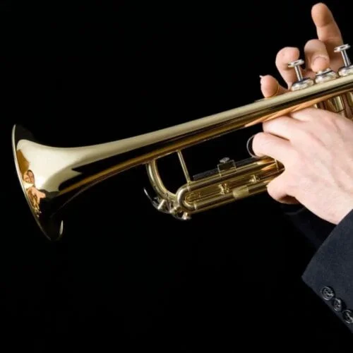 À quelle famille d’instruments de musique la trompette appartient-elle ? 