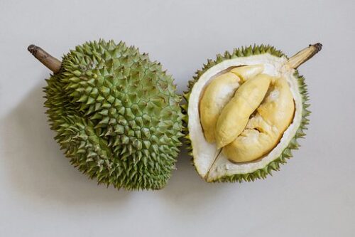 Quel est le nom de ce fruit dont l’odeur est tellement forte qu’il est interdit dans les transports en commun ou dans des hôtels en Thaïlande ? 