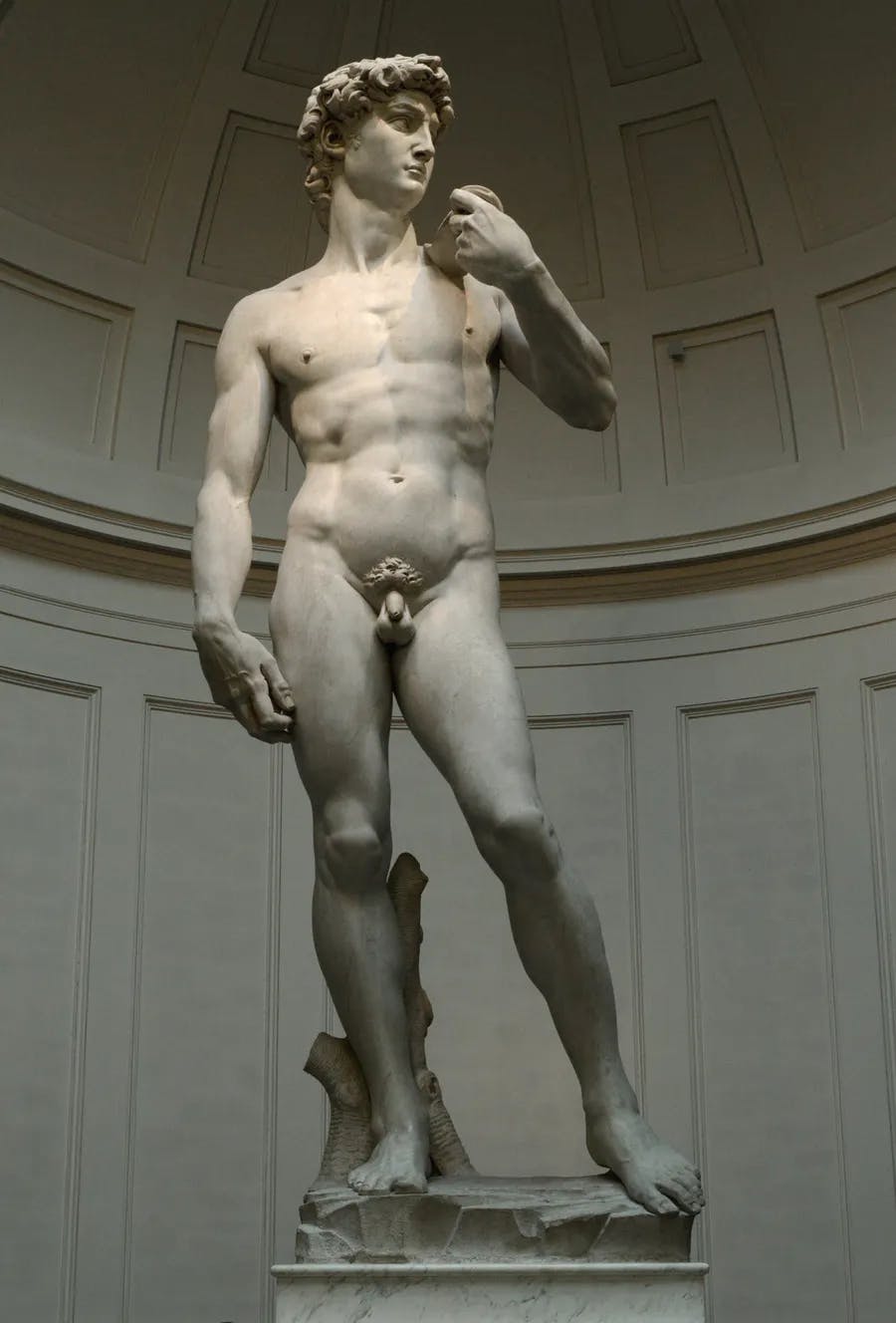 Dans quelle ville italienne pouvez-vous voir le célèbre David de Michel-Ange ? 