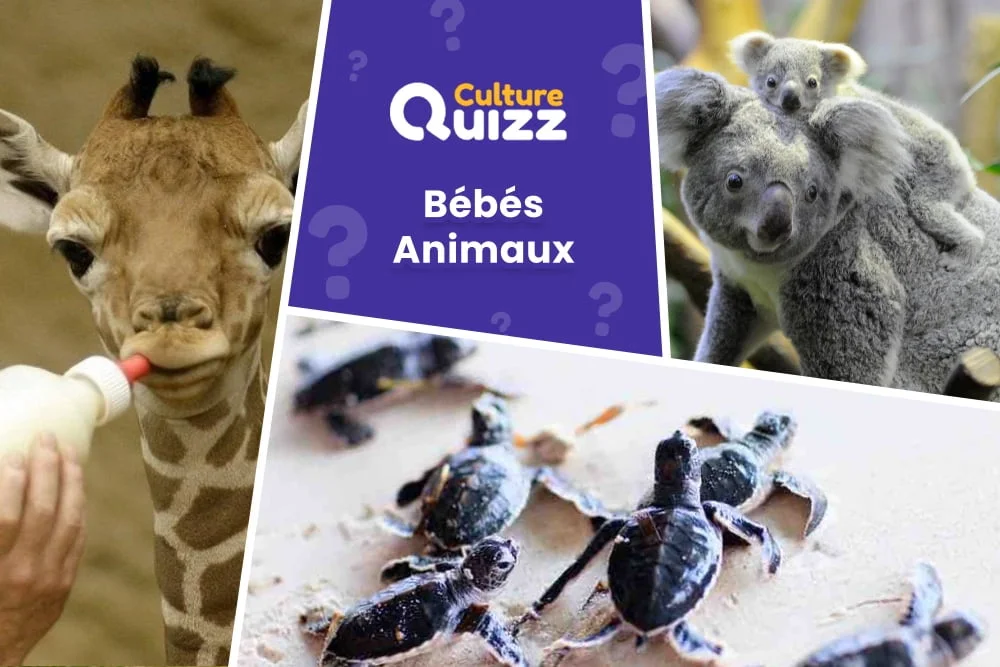 Quiz spécial Bébés Animaux - Quiz animalier spécial Bébés Animaux
