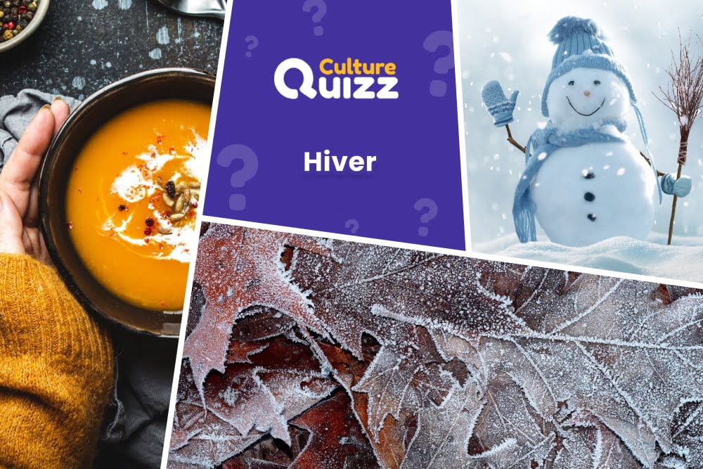 Quiz spécial Hiver - Quiz sur la thématique de l'hiver