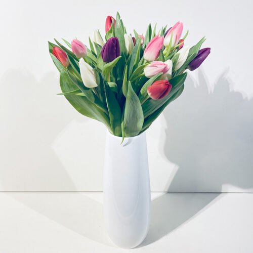 Quel pays est le premier producteur mondial de tulipes ? Tulipes origines
