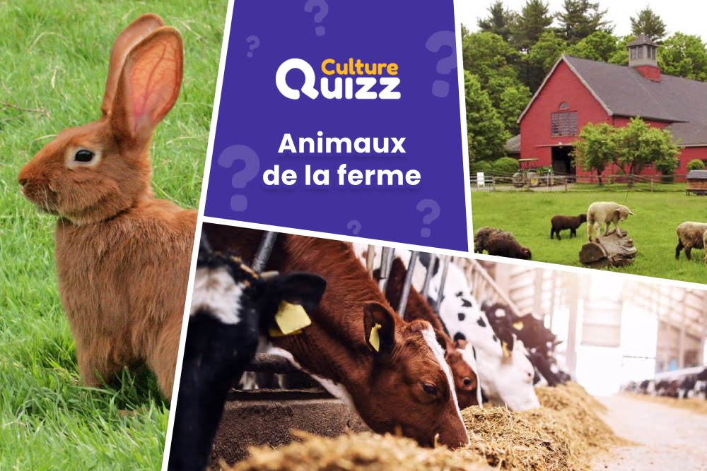 Quiz Animaux de la ferme - Répondez aux questions sur les animaux de la ferme et e la basse-court
