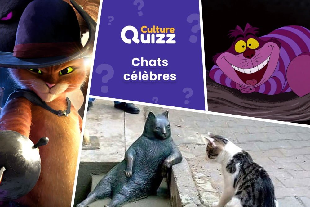 Quiz spécial Chats célèbres - Quiz dédié aux chats célèbres de films et séries