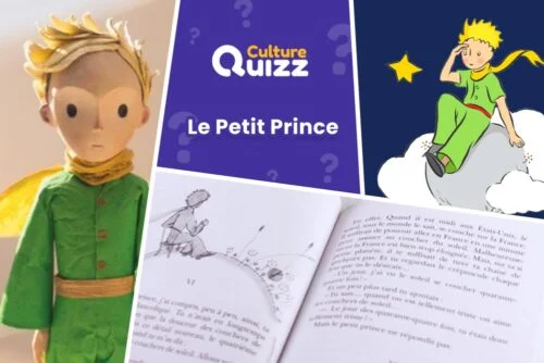 Quiz autour de l'œuvre le petit prince - littérature enfant