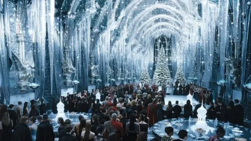 Qui accompagne Hermione Granger au Bal de Noël ? 