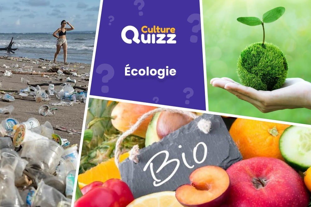 Quiz spécial Écologie - Quiz avec des questions liées à la pollution et à l'écologie