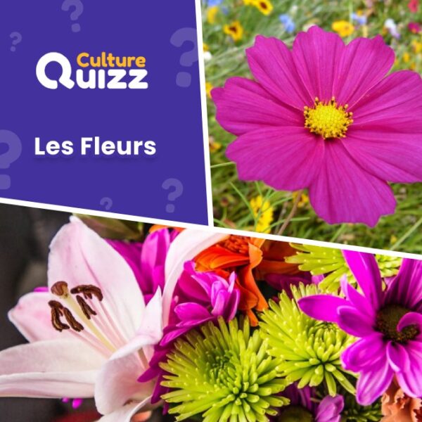 Question sur les différentes fleurs : roses, tulipes, lilas, crocus...