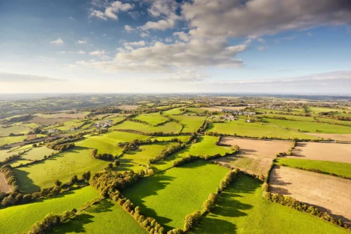 Comment désigne-t-on le type de paysage caractérisé par des prés séparés par des haies ? 