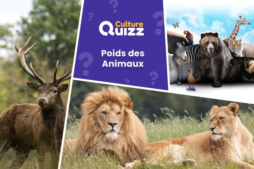 Jeu : Classez les Animaux selon le poids - Quiz sur les poids des animaux du monde