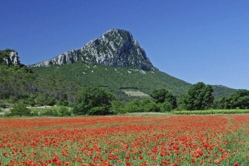 Quelle montagne se situe à 20 km de Montpellier ? 