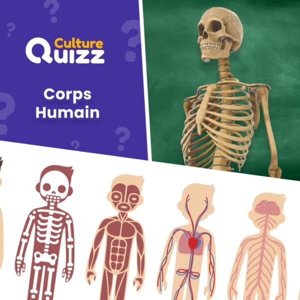 Quiz dédié au corps humain : muscles, maladies, os - Culture générale