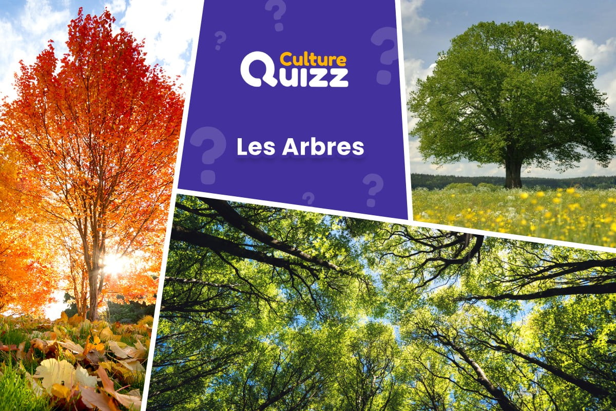 Quiz spécial sur les Arbres - Testez vos connaissances sur les différents arbres - Quiz nature