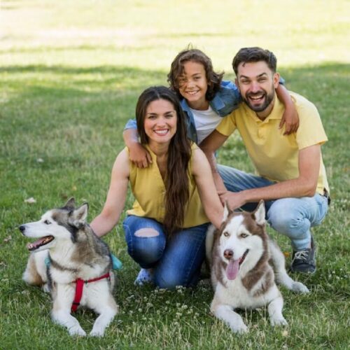 Les chiens sont les animaux de compagnie les plus nombreux en France. Vrai ou faux ? 
