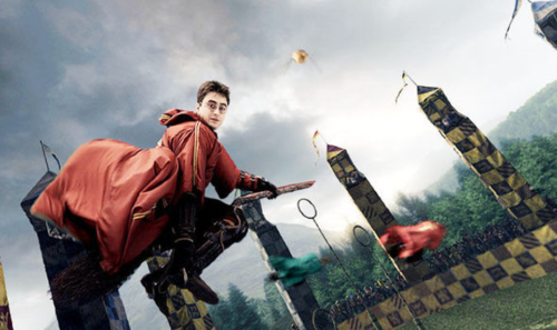 Dans la saga Harry Potter, quel élève a été capitaine de l'équipe de Quidditch de Serdaigle ? 