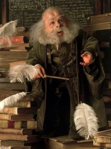 Quelle matière est enseignée par le professeur Flitwick à l'école des sorciers de Poudlard ? 