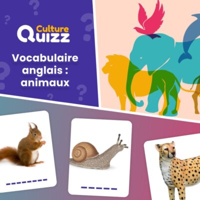 Vocabulaire Anglais - Les animaux - tester vos connaissances