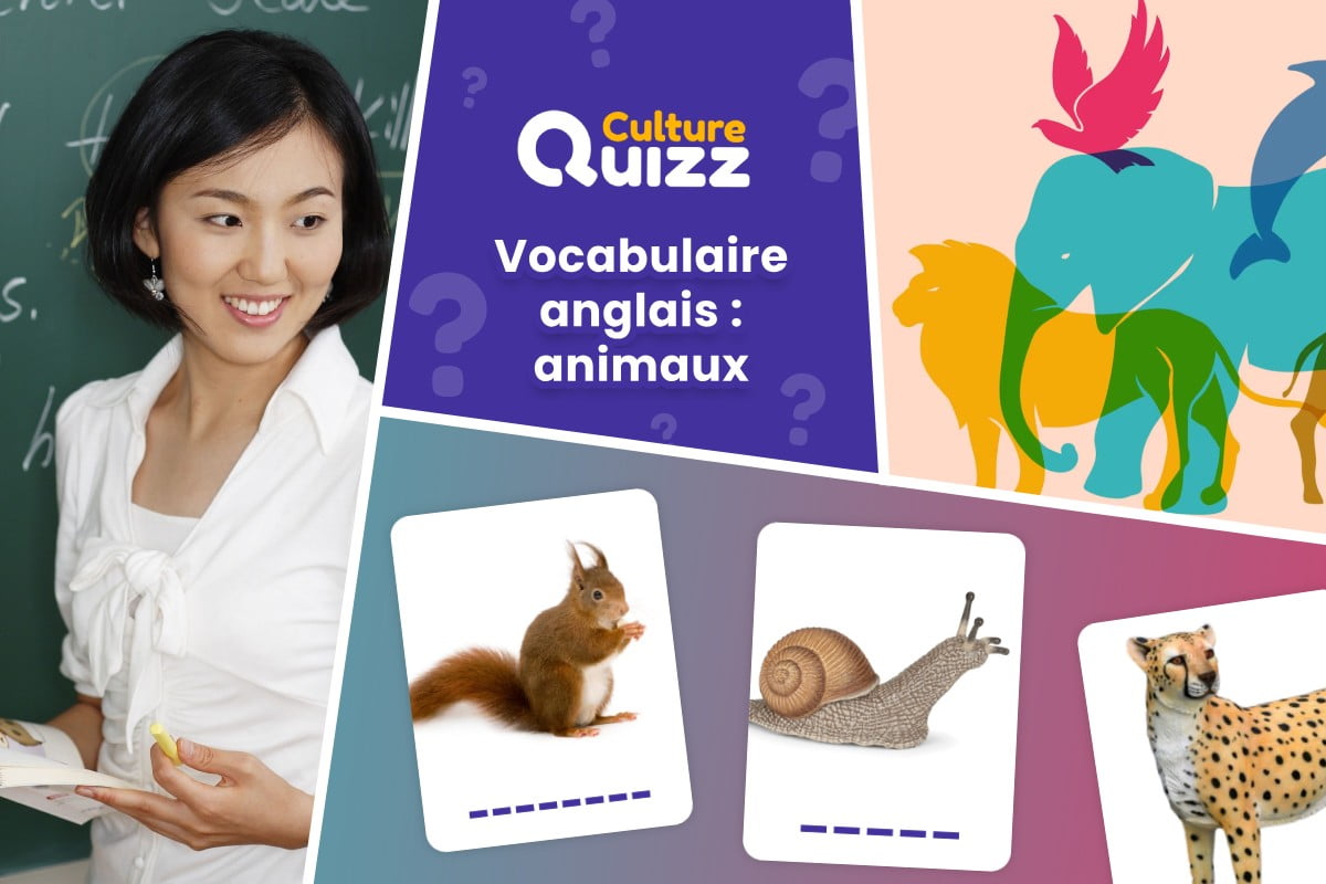 Quiz Vocabulaire Anglais : Animaux #1 - Vocabulaire Anglais - Les animaux - tester vos connaissances