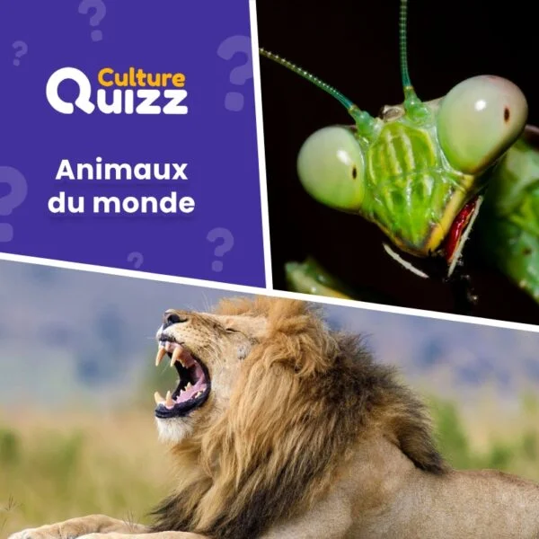 Les animaux du monde #5 - Quiz thématique