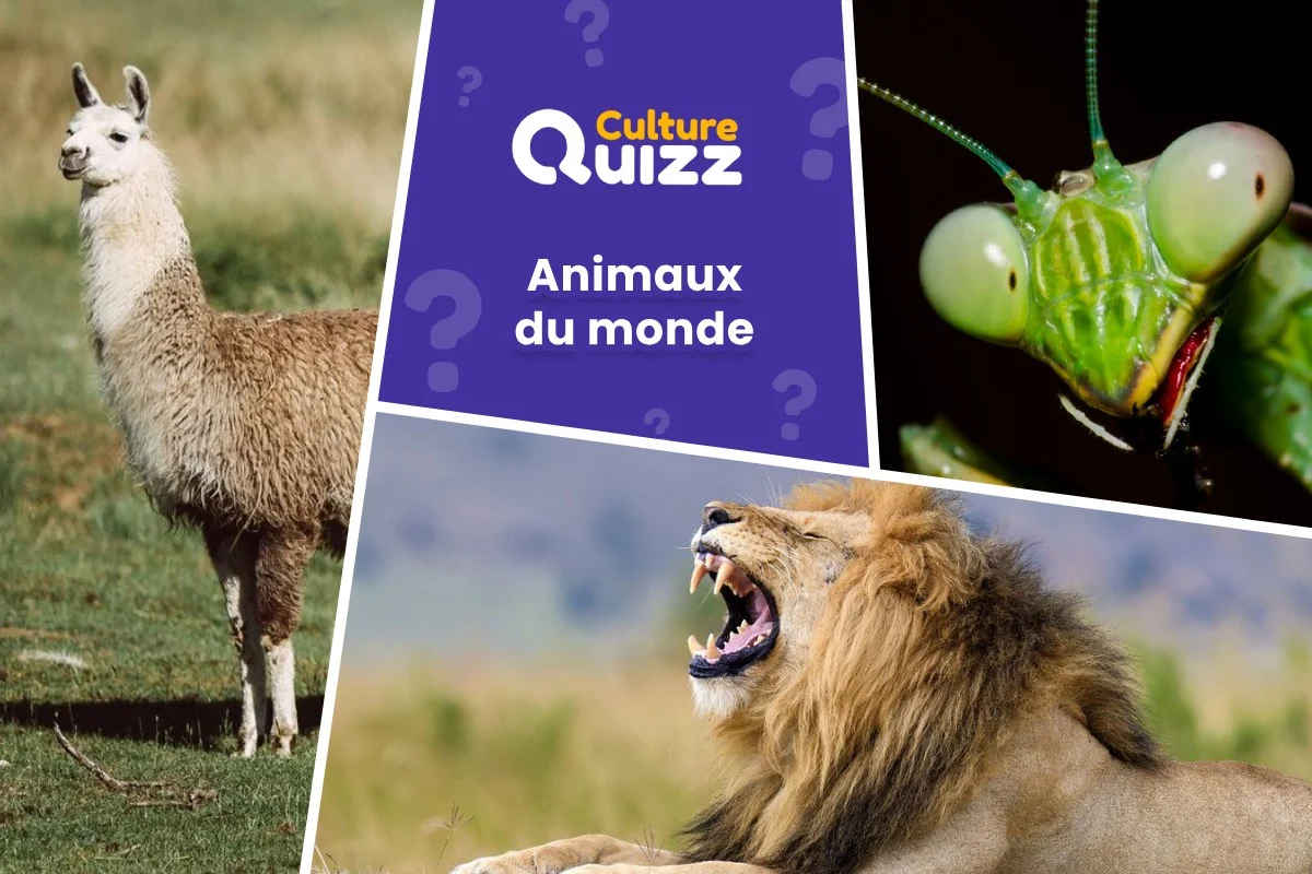 Quiz Animaux du Monde #5 - Les animaux du monde #5 - Quiz thématique