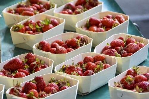 Quelle ville de Bretagne est connue pour ses fraises ? 