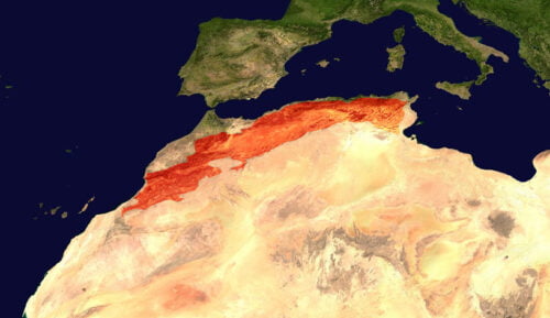 Quelle chaîne de montagnes se situe en Algérie ? 