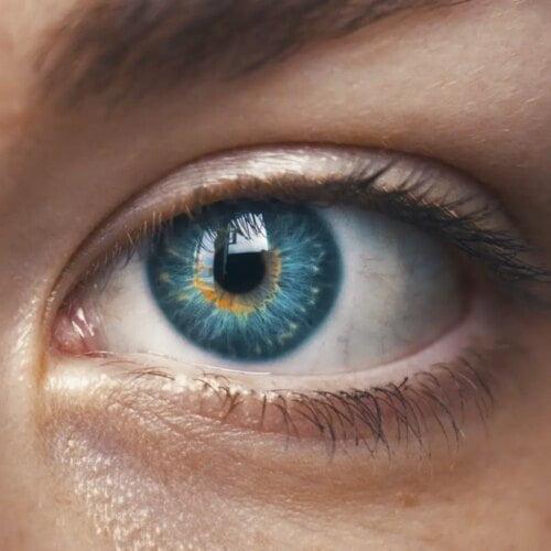 Quel est le nom de la partie colorée des yeux ? 