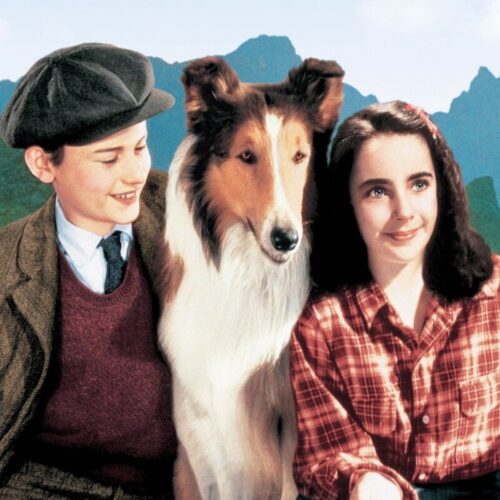 Chien Lassie